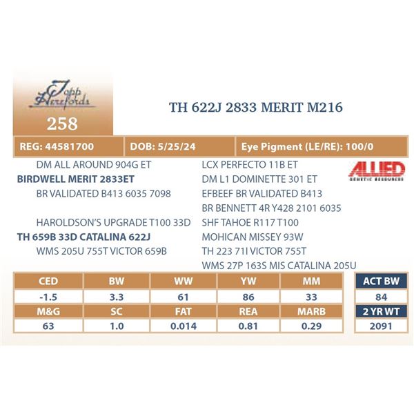 TH 622J 2833 MERIT M216