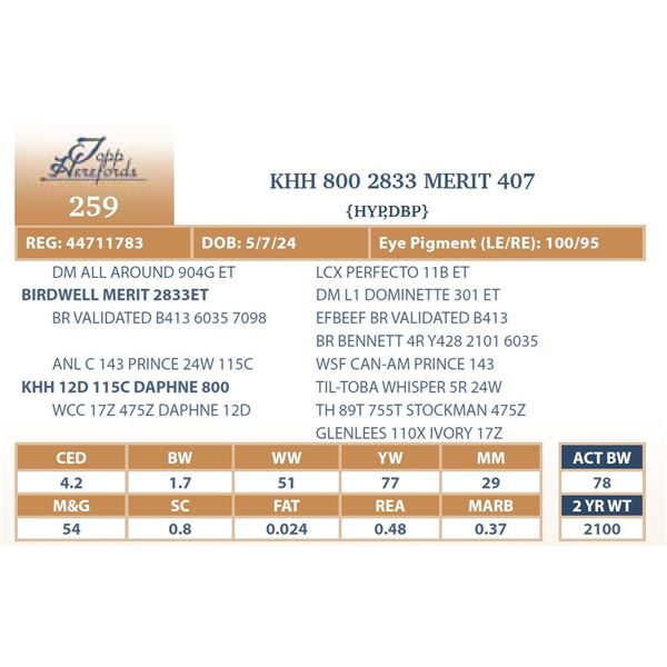 KHH 800 2833 MERIT 407