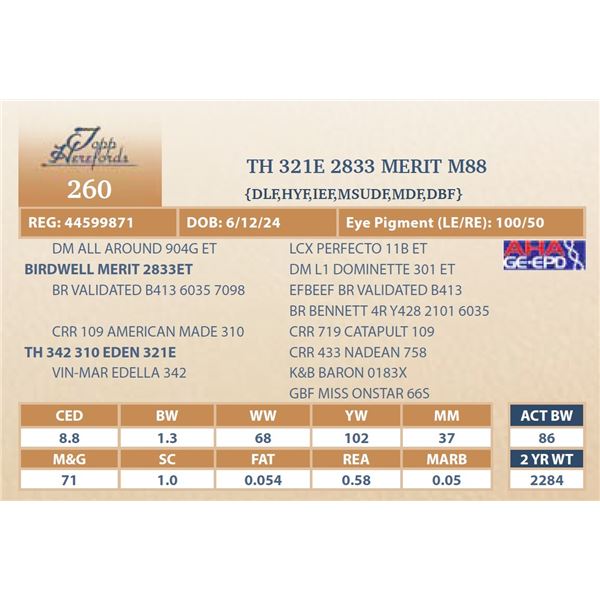 TH 321E 2833 MERIT M88