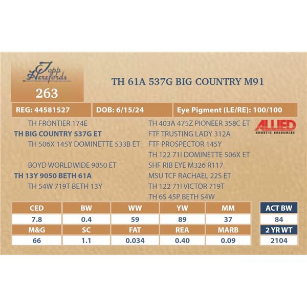 TH 61A 537G BIG COUNTRY M91