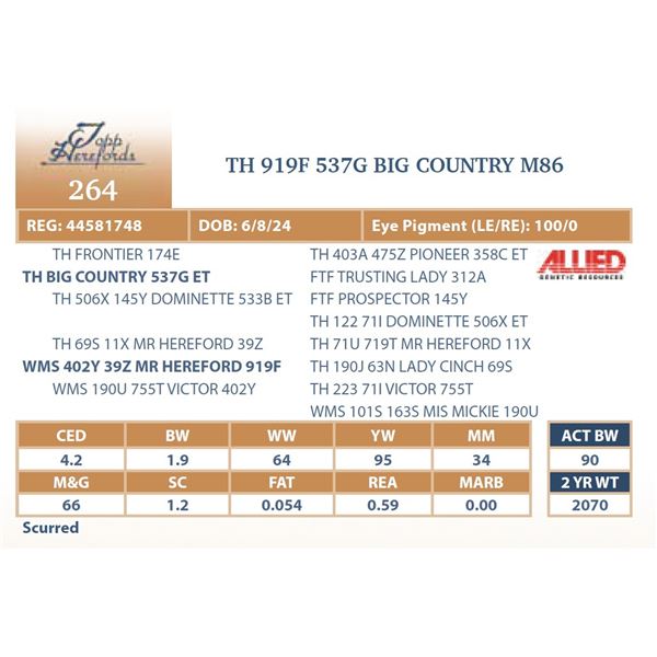 TH 919F 537G BIG COUNTRY M86