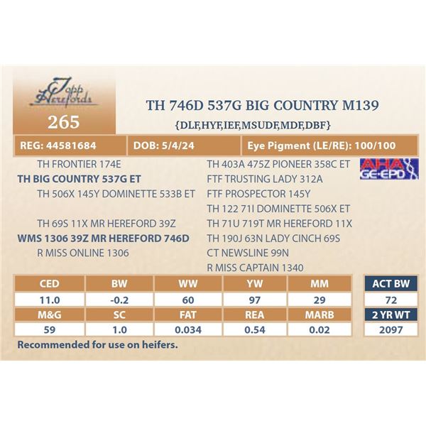 TH 746D 537G BIG COUNTRY M139