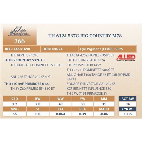 TH 612J 537G BIG COUNTRY M78