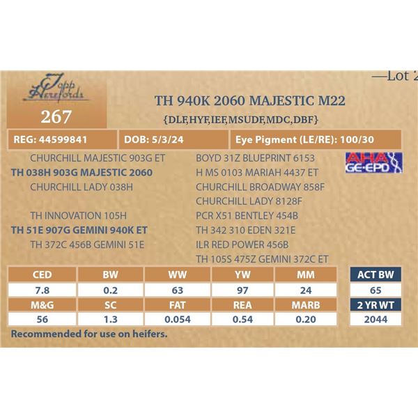 TH 940K 2060 MAJESTIC M22