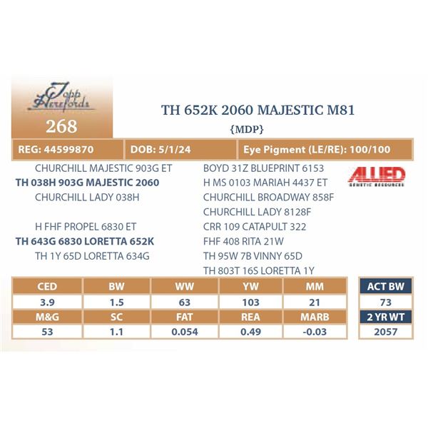 TH 652K 2060 MAJESTIC M81