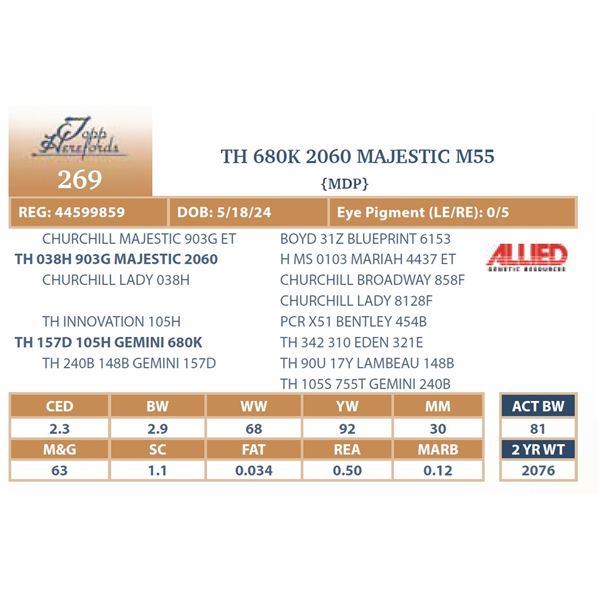 TH 680K 2060 MAJESTIC M55