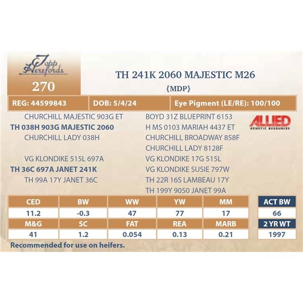 TH 241K 2060 MAJESTIC M26