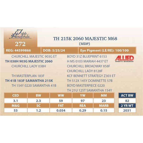 TH 215K 2060 MAJESTIC M68