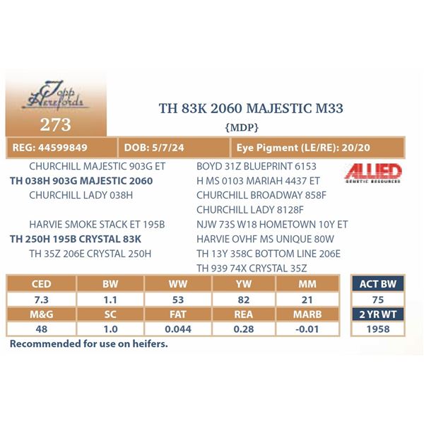 TH 83K 2060 MAJESTIC M33