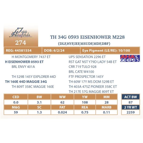 TH 34G 0593 EISENHOWER M228