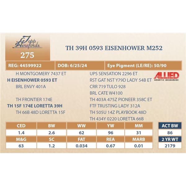 TH 39H 0593 EISENHOWER M252