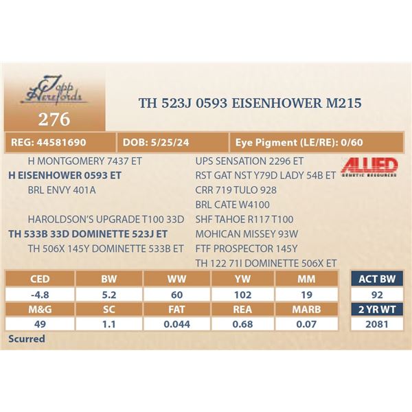 TH 523J 0593 EISENHOWER M215