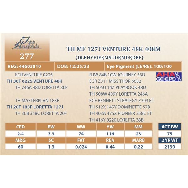 MF 127J VENTURE 48K 408M