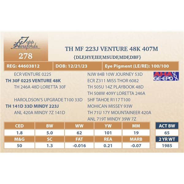 MF 223J VENTURE 48K 407M