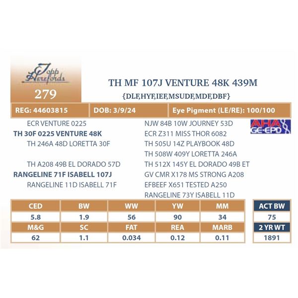 MF 107J VENTURE 48K 439M