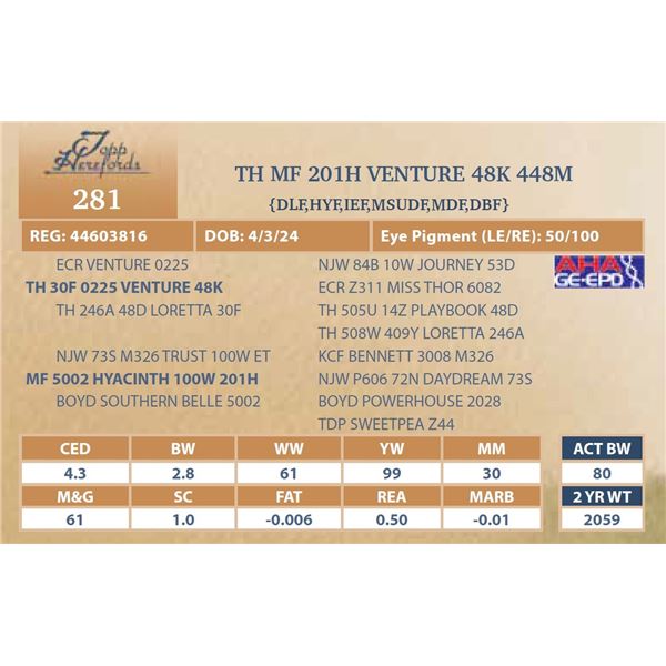 MF 201H VENTURE 48K 448M