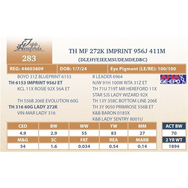 MF 272K IMPRINT 956J 411M