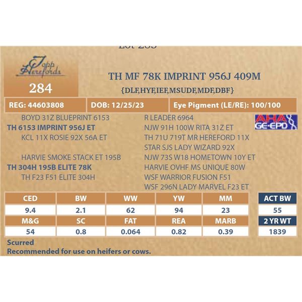 MF 78K IMPRINT 956J 409M