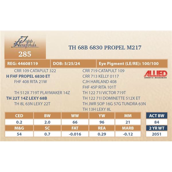 TH 68B 6830 PROPEL M217