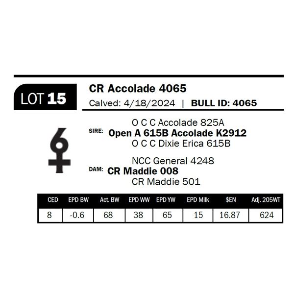 CR Accolade 4065