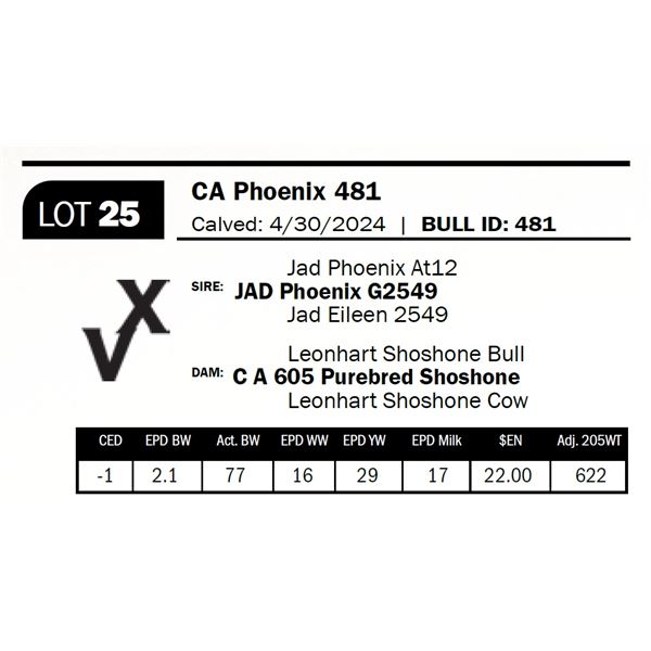 CA Phoenix 481