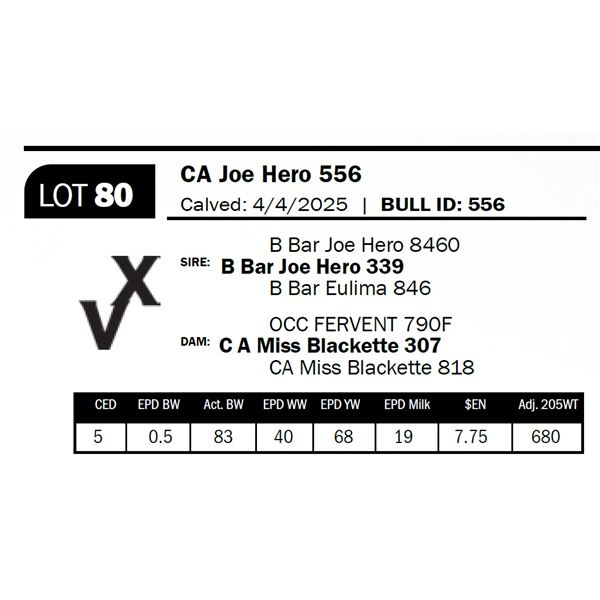 CA Joe Hero 556