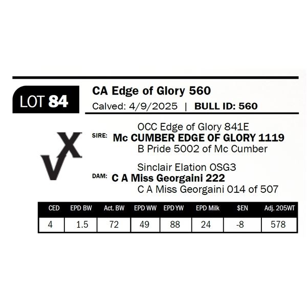 CA Edge of Glory 560