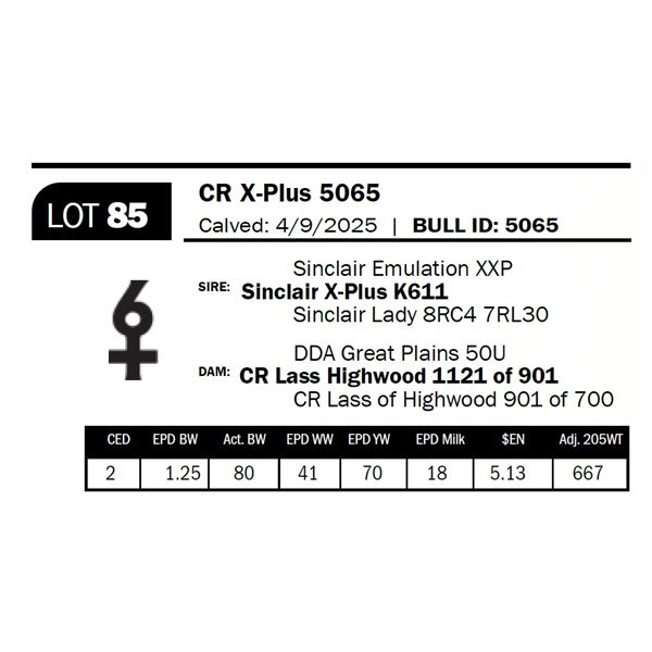 CR X-Plus 5065