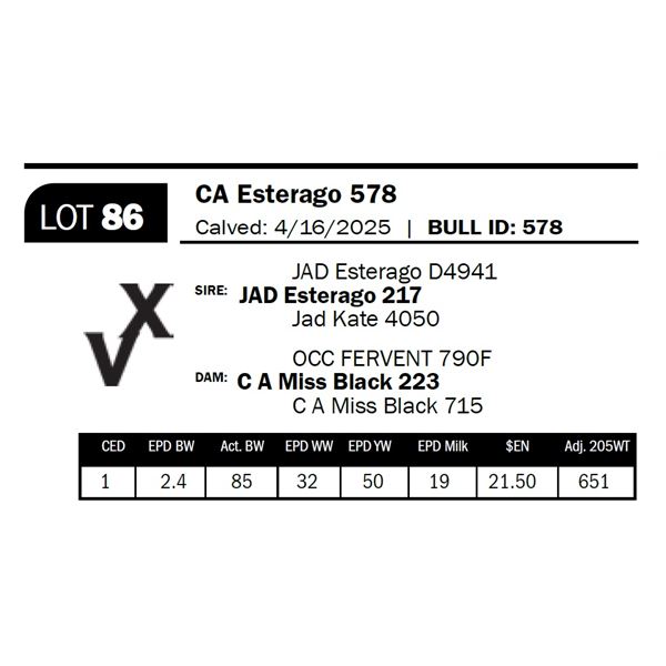 CA Esterago 578