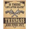 Image 1 : Life After Death?