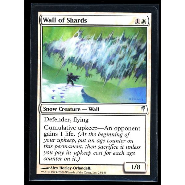 Magic the Gathering Wall of Shards Coldsnap