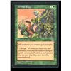 Image 1 : Magic the Gathering Primal Rage Stronghold