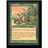 Image 1 : Magic the Gathering Primal Rage Stronghold