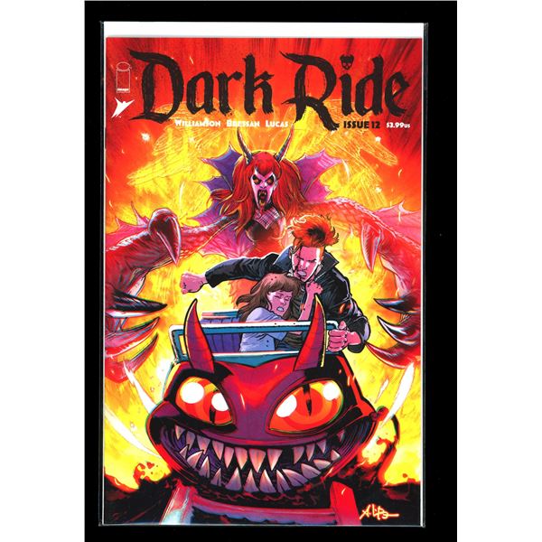 Image Dark Ride #12 (new never read)