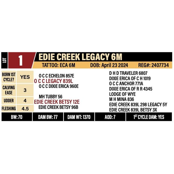 EDIE CREEK LEGACY 6M