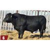 Image 2 : EDIE CREEK GATE KEEPER 140M