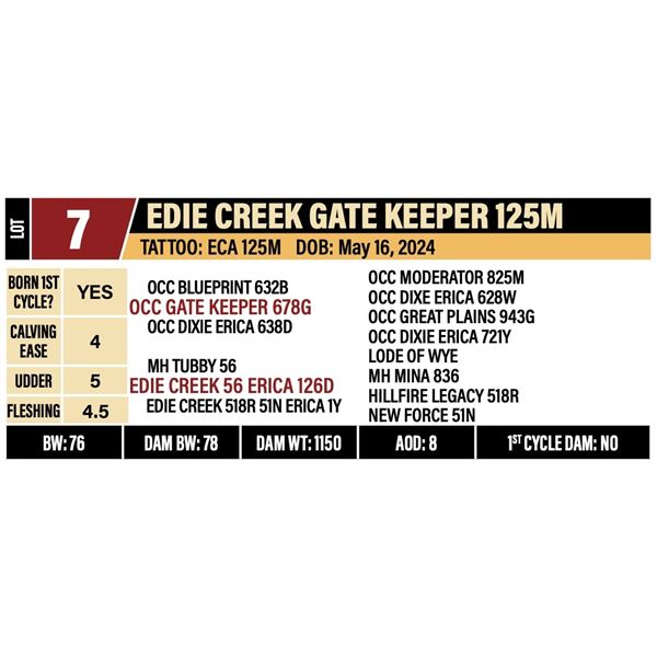 EDIE CREEK GATE KEEPER 125M