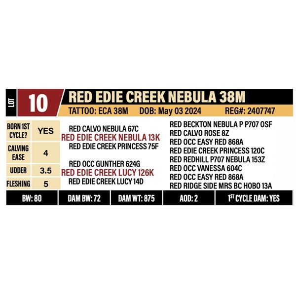 EDIE CREEK GATE NEBULA 38M