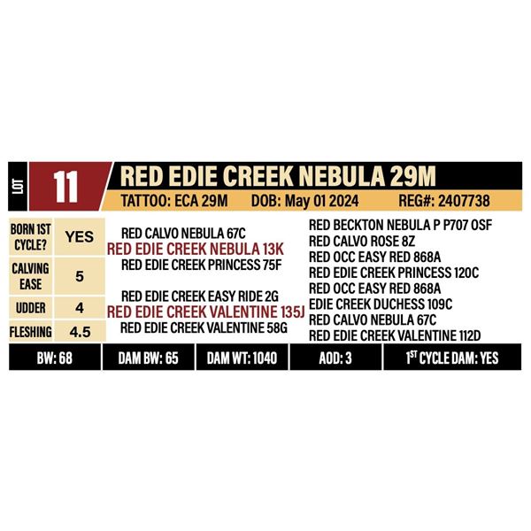 RED EDIE CREEK GATE NEBULA 29M