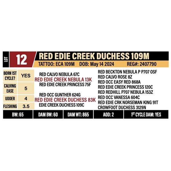 RED EDIE CREEK DUCHESS 109M
