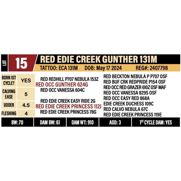 RED EDIE CREEK GUNTHER 131M