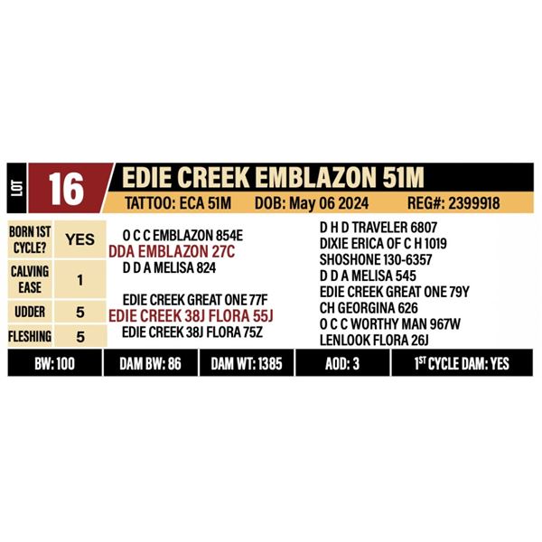 EDIE CREEK EMBLAZON 51M