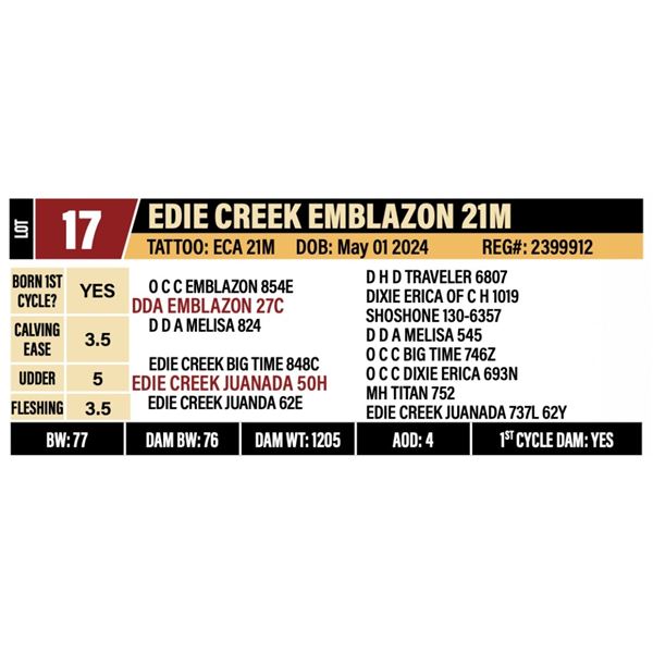 EDIE CREEK EMBLAZON 21M