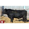 Image 2 : EDIE CREEK EQUINOX 69M