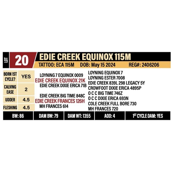 EDIE CREEK EQUINOX 115M