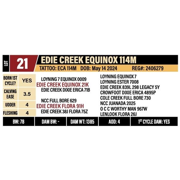 EDIE CREEK EQUINOX 114M