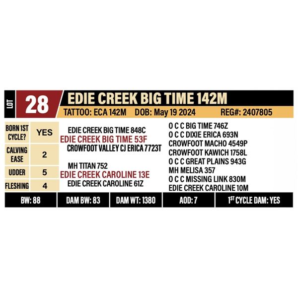 EDIE CREEK BIG TIME 142M
