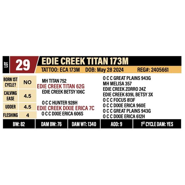 EDIE CREEK TITAN 173M