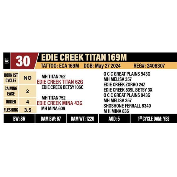 EDIE CREEK TITAN 169M