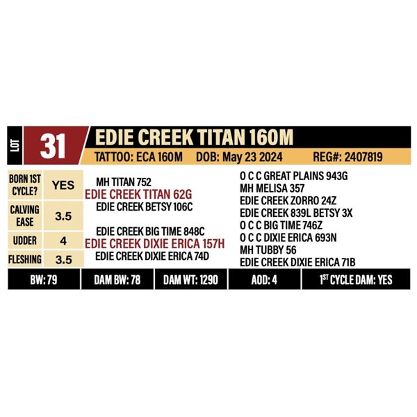 EDIE CREEK TITAN 160M